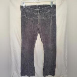Gray Women’s American Eagle Outfitter Velvet Pants Size 2